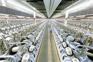 我市加快構建開放商務體系助推轉型發(fā)展紀實