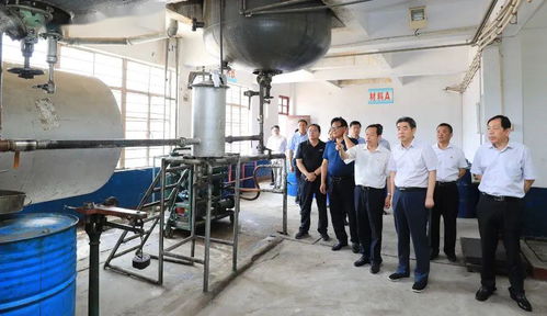 集團領導深入實業公司調研，聚焦轉型發展重點